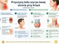 Anatomia szyi z boku, pokazująca budowę mięśni i struktur, które mogą powodować ból po lewej stronie krtani.