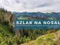 Malowniczy szlak na Nosal w Tatrach Polskich. Widok na góry i lasy.
