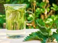 Ein Glas mit Brennnesseltee, daneben frische Brennnesselblätter. Perfekt für eine gesunde Brennnesseltee Kur im Grünen.