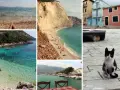 Wakacje na Lefkadzie: plaże, turkusowa woda, kolorowe domki i koty. Miasto Lefkada tętni życiem.