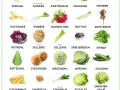 Gemüsevielfalt: Fenchel, Gurken, Kartoffeln, Kohlrabi, Möhren, Pastinake, Porree, Radieschen, Rettich, Rote Bete, Rotkohl, Sellerie, Speiserüben, Spinat, Spitzkohl, Steckrübe, Weißkohl, Wirsing, Zucchini, Zuckermais, Zwiebeln. Was kann man im August pf...