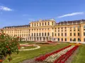 Schönbrunn w Wiedniu, z kwitnącym krzewem w pierwszym planie i barwnymi rabatami kwiatowymi. Idealne miejsce, by zobaczyć w Wiedniu!