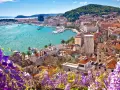 Widok na Split z kwitnącym glicynią. Turkusowe morze, białe budynki i zielone wzgórze tworzą malowniczą panoramę. Chorwacja atrakcje w pełnej krasie.