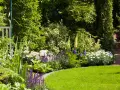 Ein üppiger Garten mit grüner Rasenfläche, bunten Blumen wie Lupinen und Hortensien sowie verschiedenen Sträuchern und Bäumen. Inspiration, wie gestalte ich meinen garten.