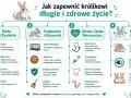 Ilustracja pokazuje, jak zapewnić królikowi długie i zdrowe życie. Kluczowe są: dieta, środowisko, zdrowie i relacje.