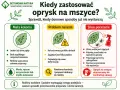 Kiedy stosować oprysk na mszyce? Gdy problem narasta, pojawiają się nowe deformacje, a ręczne czyszczenie nie wystarcza. Wtedy oprysk jest dopuszczony do konkretnej uprawy.