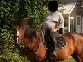 Une femme enceinte profite d'une balade à cheval, un moment de sérénité avant l'arrivée de bébé. L'équitation et grossesse, une combinaison harmonieuse.