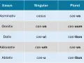 Tabelle zur lateinischen U-Deklination: Kasus, Singular und Pluralformen des Wortes "casus".