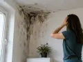 Frau verzweifelt wegen Schimmel an der Wand. Sie muss den **Schimmel Vermieter melden**, um eine Lösung zu finden.