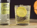 Gin z tonikiem: jak zrobić idealny drink w domu? Poradnik