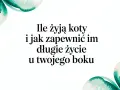 Ile żyją koty po sterylizacji i jak zapewnić im długie życie u Twojego boku. Delikatne, akwarelowe liście otaczają tekst.