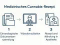 Schritt-für-Schritt-Anleitung für ein medizinisches Cannabis-Rezept: Dokumente, Videokonsultation, Rezept & Apotheke.