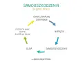 Błędne koło samouszkodzeń: cierpienie emocjonalne prowadzi do napięcia, które próbuje się rozładować samouszkodzeniem, dając chwilową ulgę, ale wracając do poczucia winy i wstydu.