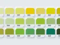 Una paleta de colores fríos y cálidos, con tonos verdes y amarillos que evocan la naturaleza.