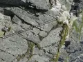 Trudna trasa Orla Perć. Metalowe drabinki i łańcuchy na skalnej ścianie. Ile osób zginęło na tej trasie?