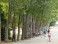 Jak zmieniła się szata roślinna i co to oznacza dla przyszłości?
