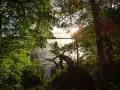 Sonnenstrahlen brechen durch das Blätterdach und beleuchten das ruhige Jezioro Mamry. Ein umgestürzter Baum ragt ins Wasser.