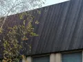 Un muro inclinato di legno bruciato giapponese, con rami spogli e foglie gialle che si stagliano contro il cielo.