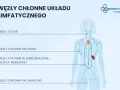Schemat układu limfatycznego z zaznaczonymi węzłami chłonnymi w pachwinie, pachach, szyi i jamie brzusznej.
