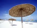 Słomiane parasole na pustej plaży. Piękna, słoneczna pogoda w Tunezji w listopadzie, idealna na spacer.