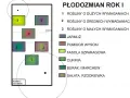 Schemat płodozmianu. Fasolka szparagowa (3) dobrze rośnie obok pomidorów (2) i roślin o małych wymaganiach.