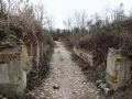 Kamienista ścieżka wśród ruin i zarośli, pozostałości dawnej świetności stary Kostrzyn nad Odrą.