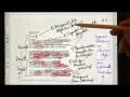 Expressionistische Gedichte: Merkmale, Autoren & Analyse