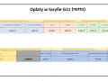 Tabela opłat w taryfie G11 (netto) pokazuje stawki za energię elektryczną, składniki stałe i zmienne sieciowe, opłaty abonamentowe oraz stawki opłaty mocowej w zależności od zużycia.