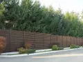 Wzdłuż ciemnobrązowego ogrodzenia rosną wysokie świerki, tworząc zieloną ścianę.