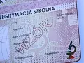 Legitymacja szkolna z polem na dane ucznia i mikroskopem. Wzór dokumentu, który może otrzymać każdy konsul wiedzy.