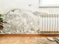 Détérioration d'un mur intérieur due à l'humidité, avec des traces de moisissure et de peinture écaillée. Une plante verte et un radiateur sont visibles.