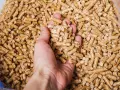 Mano che afferra pellet di legno. Un sacco di pellet di legno ha un peso variabile, ma solitamente si aggira sui 15 kg.