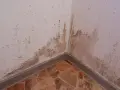 Esquina de pared con manchas de humedad y moho. Se necesita tapar rozas para solucionar el problema.