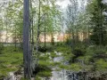 Lustrzanka cyfrowa: Jak wybrać idealny aparat do fotografii?