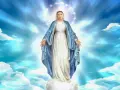 Postać Maryi w błękitnym płaszczu, unosząca się na obłoku, otoczona blaskiem i gwiazdami. Symbol niepokalanego poczęcia.