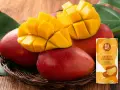 Soczyste mango i puszka napoju "Salted Caramel" z hasłem "african mango opinie".