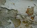 Muri scrostati con macchie scure, segno di umidità. Ecco come evitare muffa in casa.