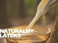 Biały, płynny naturalny lateks spływa do metalowego wiadra. W tle drzewo i zamazana zieleń.