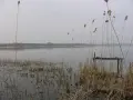 Spokojne jezioro Wierzbiczańskie otoczone trzcinami i lasem. Na pierwszym planie widoczny stary pomost.