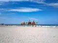 Djerba plaże: wielbłądy z jeźdźcami na piaszczystej plaży, w tle błękitne morze i niebo.