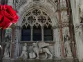 Rosa rossa davanti al Leone alato di San Marco, simbolo di Venezia.
