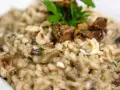 Cremoso risotto de boletus con trozos de champiñones, nueces picadas y perejil fresco.