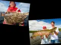 Glückliche Angler mit ihren Fängen. Ein Mann hält einen großen Fisch, während ein Junge und ein Mann einen Hecht präsentieren. Mit dem Echolot Fische erkennen ist hier erfolgreich.