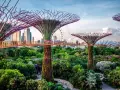 Superdrzewa w Gardens by the Bay, Singapur. To miasto-państwo leży w Azji Południowo-Wschodniej.