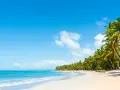 Rajskie plaże karaiby wyspy, z palmami i turkusową wodą. Idealne miejsce na relaks.