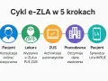 Schemat cyklu e-ZLA: Pacjent, Lekarz, ZUS, Pracodawca, Pacjent. Dowiedz się, jak sprawdzić czy jestem ubezpieczony i uzyskać L4.