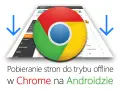 Jak pobrać stronę internetową? Zapisz ją offline krok po kroku!
