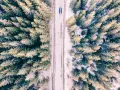 Droga przecinająca las, tworząc podział diagonalny. Widać rozmyty samochód.