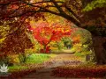 Arboretum Rogów: Co Zobaczyć? Atrakcje, Bilety, Sezonowe Cuda