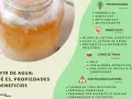 Kéfir de agua en un frasco, ideal para que es bueno el kéfir: mejora digestión, ánimo y microbiota. Propiedades probióticas, digestivas, antifúngicas y antioxidantes.